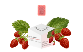 WYLD - Edible - Strawberry - 20:1 - CBD:THC - Gummies - 10PK - 100MG