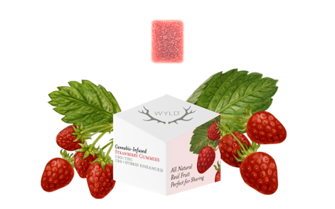 WYLD - WYLD - Edible - Strawberry - 20:1 - CBD:THC - Gummies - 10PK - 10MG