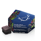 WYLD - Elderberry 2:1 CBN/THC Gummies 50mg