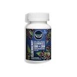 Elderberry 5:1 CBD:CBN 500mg Gummies (20x25mg) - WYLD CBD