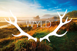 Wyld | Huckleberry