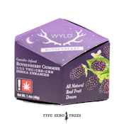 Wyld 1:1:1 THC:CBD:CBN Boysenberry Gummy 100mg