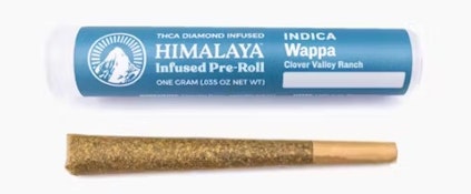 Himalaya 1g Wappa Infused Preroll