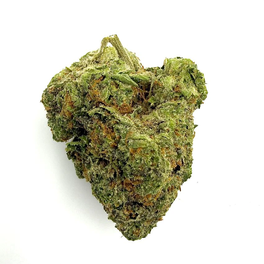 Grown Rogue - Washington Apple | 3.5g Main Image