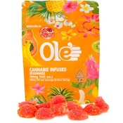 Watermelon 100mg 10 Pack Gummies - Ole' 4 Fingers