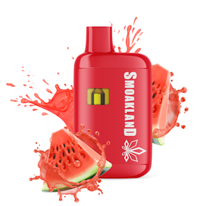 SMOAKLAND - Feels - All in One Vape - Watermelon Dreamz (S) - 1g