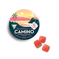 Watermelon Lemonade 200mg Gummies (10x20mg) - CAMINO