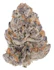 Product Preview Image 1