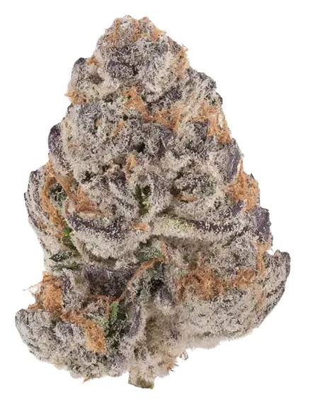 Unbound - Unbound | 3.5g Pre-Packaged Flower | Watermelon Pound Cake  Main Image