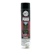 Decibel Gardens - Watermelon Punch - Infused Preroll - 1.0g