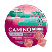 Watermelon Spritz (Uplifting) (S) | 100mg Gummies | Camino