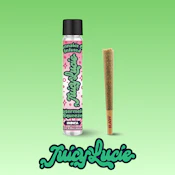 Watermelon Squeeze | 1.2g