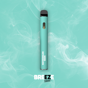 Breeze Disposable - Watermelon Wave -1G