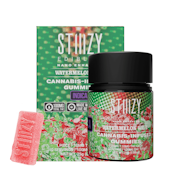 Watermelon Wave (I) | 10mg 10pk Fast Acting Nano Enhanced Gummies | Stiiizy