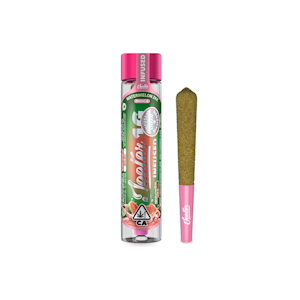 JEETER - Watermelon ZKZ | Baby Jeeter Infused Preroll .5g (single) (I) | Jeeter