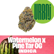 Watermelon x Pine Tar OG 2g