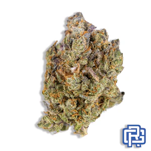 Black Sheep Cultivation - Watermelon Hurricane Flower