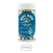Wave Rider - Purple Gas - Pre Roll Pack - 14pk - 7.0g