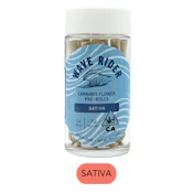 Wave Rider - Apple Fritter - Preroll Pack - 14-pk - 7.0g