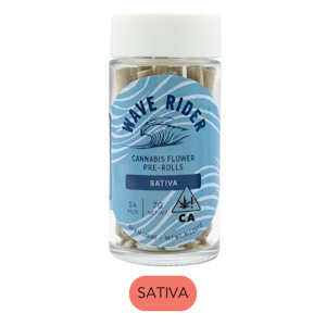 WAVE RIDER NURSERY - Wave Rider - Dream Diesel - Pre Roll Pack - 14-pk - 7.0g