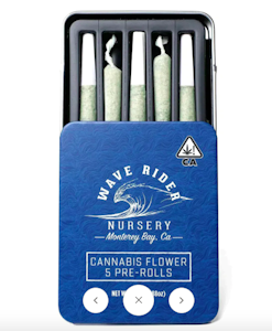 Wave Rider - Wave Rider - 0.5g 5pk (2.5g) Pre-Roll Pack - Grape Gas