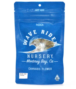 Wave Rider Nursery - Wave Rider Nursery | Forbidden Jelly | Greenhouse Flower | 1/4oz