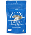 Wave Rider Nursery | Gelato 33 | Greenhouse Flower | 1/4oz