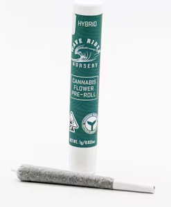 Wave Rider - Wave Rider Preroll 1g Purple Punch