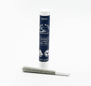 Wave Rider - Wave Rider Preroll 1g Diamond OG
