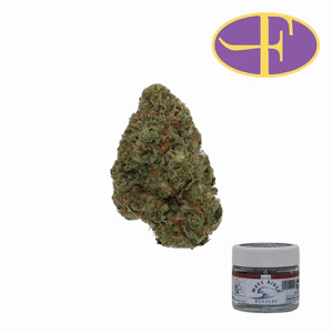 Wave Rider - Blue Dream