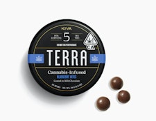 Blueberry - Milk Chocolate - 20ct - 100mg 