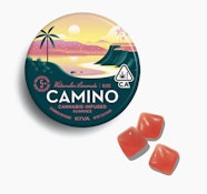 Watermelon Lemonade - Bliss - 20ct - 100mg
