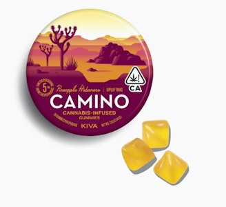 CAMINO - Pineapple Habanero - Uplifting - 20ct - 100mg