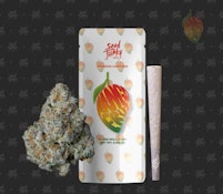 Mango Fruz - Preroll - 1g