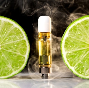 HUDSON CANNABIS - Hudson Cannabis - Lime Pop - 1g - Cartridge