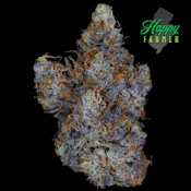 Happy Farmer | Candied Garlic | 3.5g