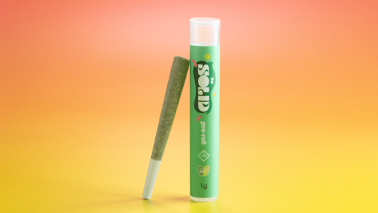 STANDARD WELLNESS - STANDARD WELLNESS - BLUE CHEESE 0.5 GRAM PRE-ROLL