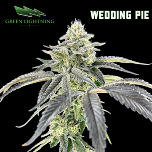 Green Lightning - [REC] Green Lightening | Wedding Pie | 3.5g Flower