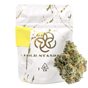 Wendy (I-H) | 3.5g Premium Indoor | Gold Standard