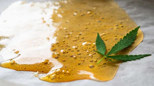 Kush Master | Cosmic Jelly 1g Wax