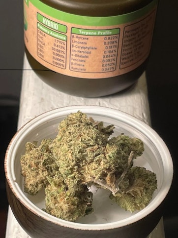 LivWell - Gorilla Glue #4 - Indica | LivWell Flower 14g   -uu1