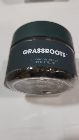 GRASSROOTS -  Tarts - Hybrid | Raw Flower - 3.5g | Grassroots    -tttt2