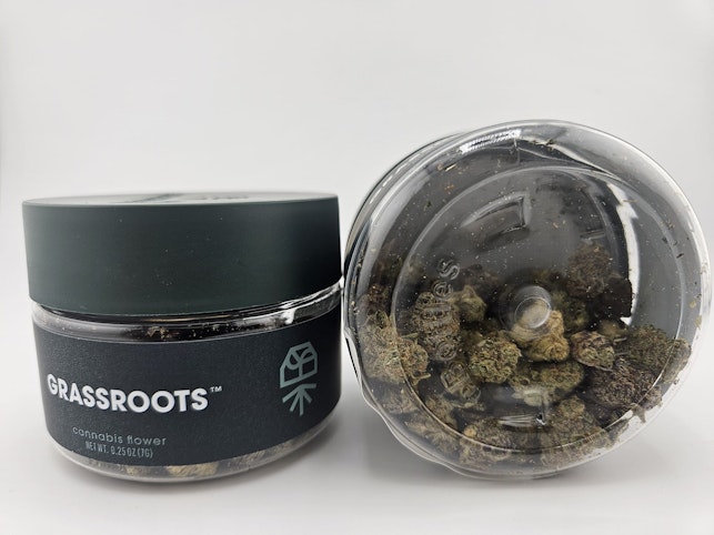 GRASSROOTS - Jordanz - Hybrid | Raw Flower - 7g | Grassroots    -g7