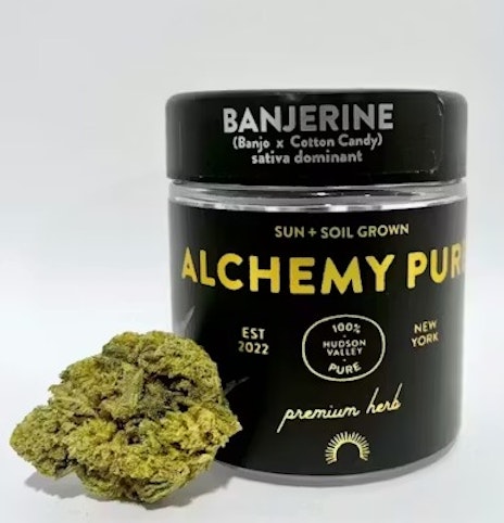 Alchemy Pure - Banjerine -Sativa Hybrid- 22.2% THC | 3.5g (Flower) | Alchemy Pure    -n7 back