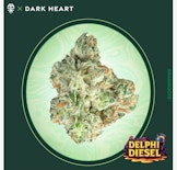 Delphi Diesel -Sativa- 25.08% THC | 14g Bag (Flower) | Grassroots/Dark Heart    -z9 front