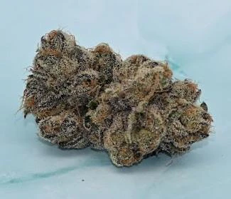 Heavenly Buds - White Cherry Runtz - Flower - Heavenly Buds - 1g Main Image