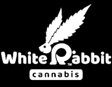 WHITE RABBIT | BOB SAGET SMALLS | FLOWER | 3.5G