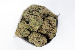 Madrone | White Runtz | 28g