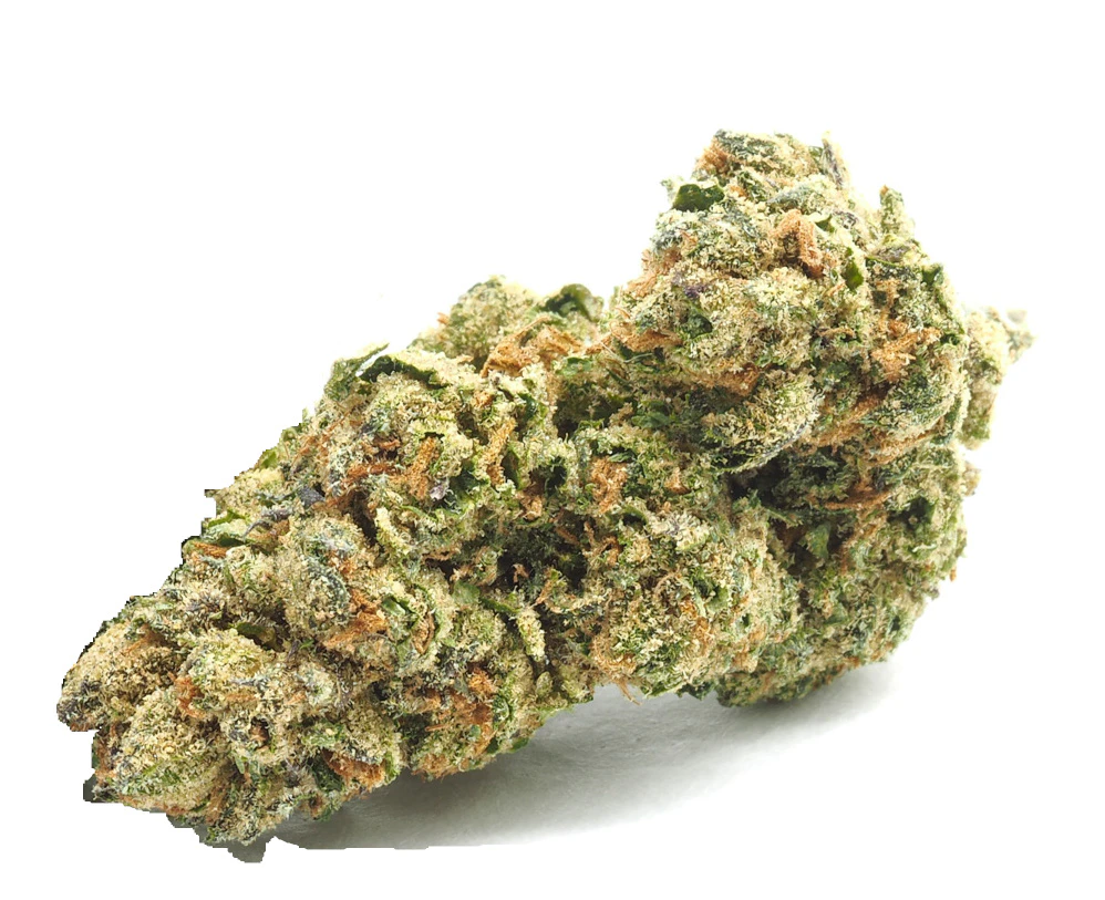 Basic Bud - Basic Bud - 1oz - White Runtz Main Image