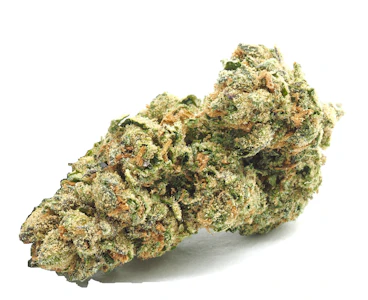 Basic Bud - Basic Bud - 1/4 Bag - White Runtz